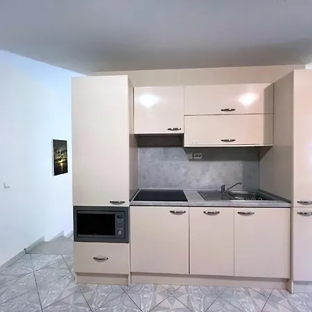 Apartment Modernduplexes In Panoramaroofcomplex